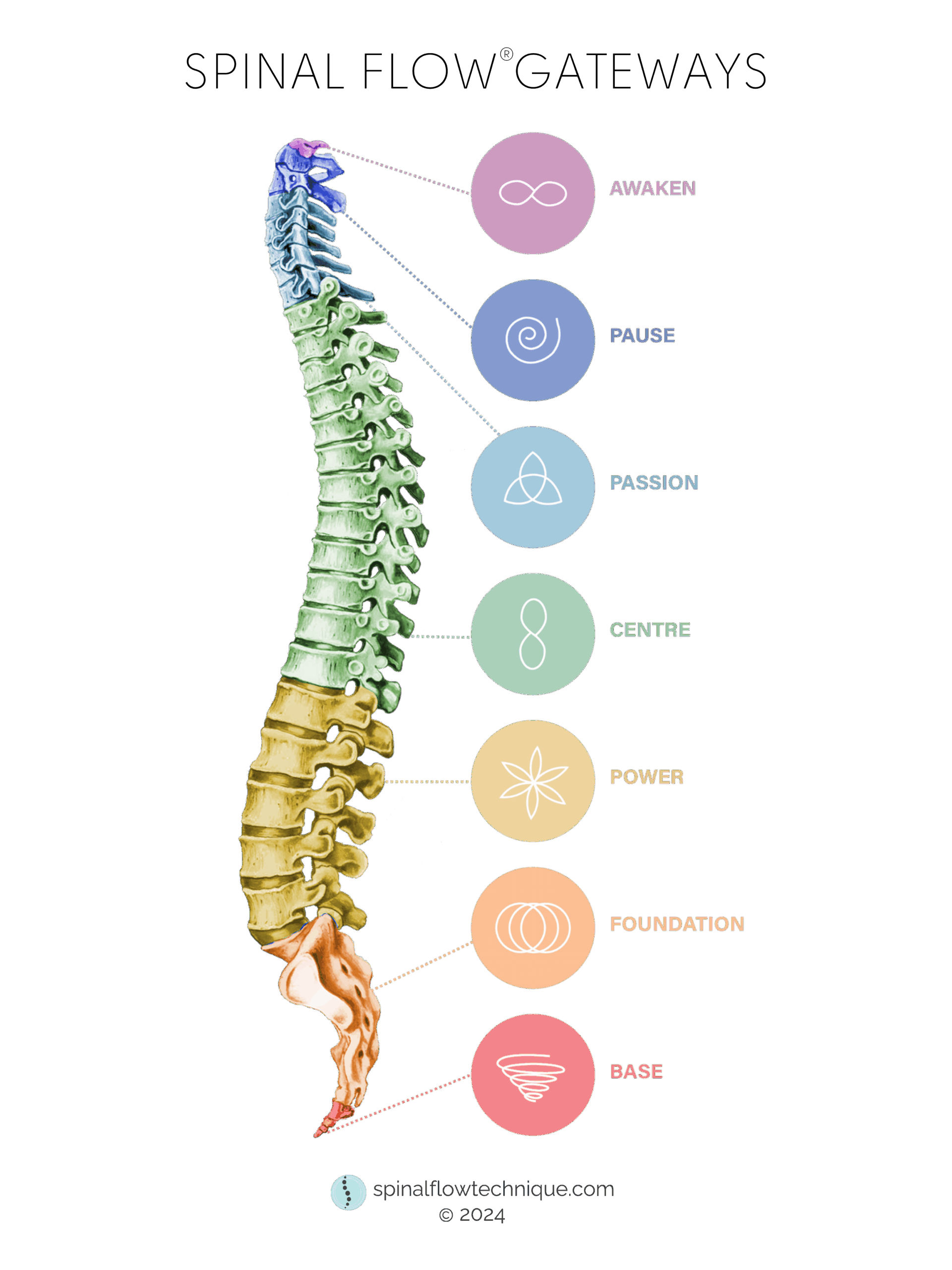 Spinal Flow Gateways